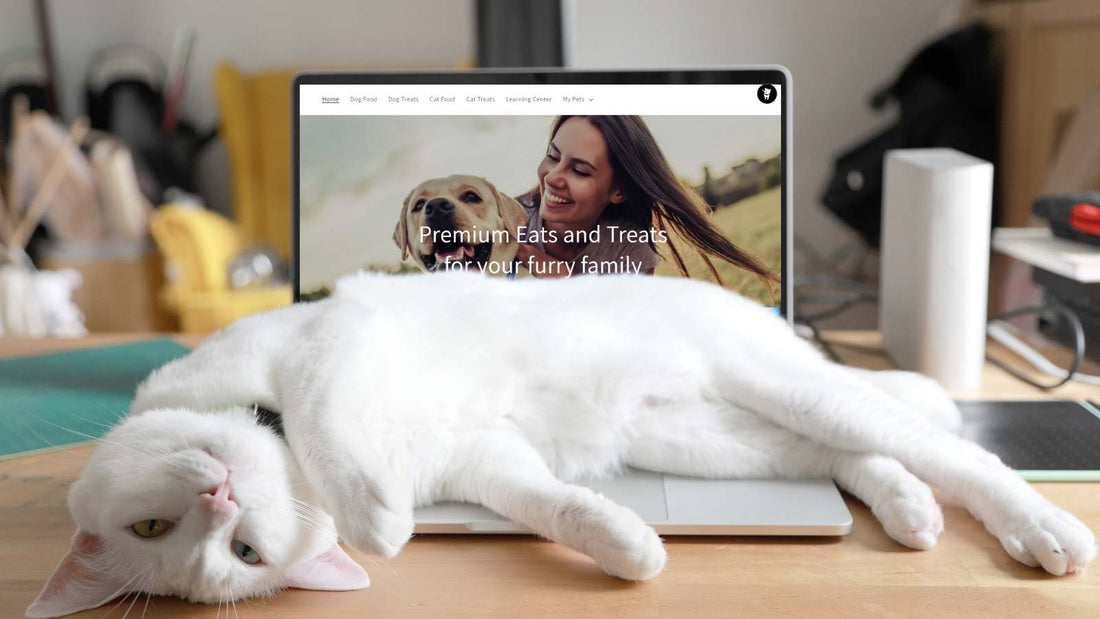 Enable Your Customers to Add Their Pets to Your Store
