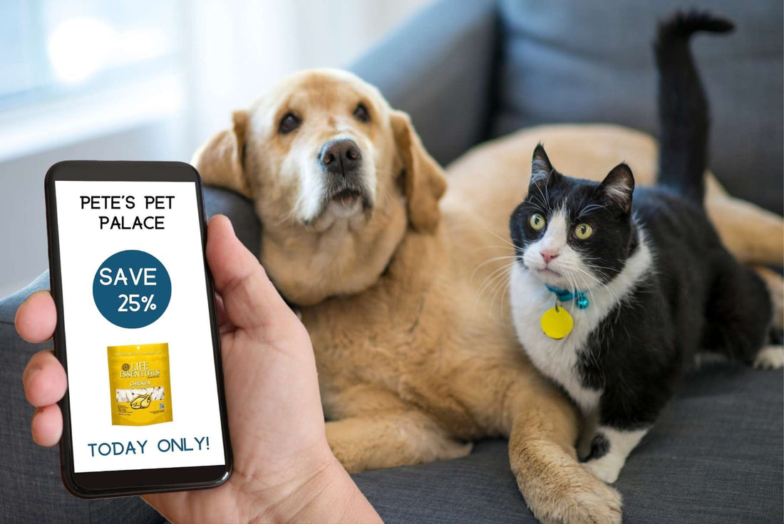 golden retriever and black and white cat sitting on couch staring at camera at petpro ai